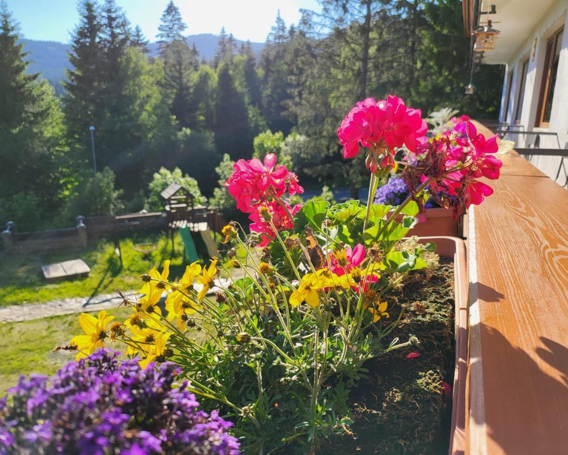 Hotel Stella Železná Ruda Eksteriør bilde